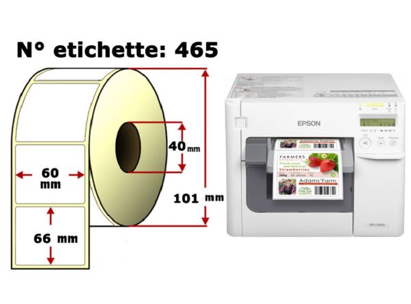 Etichette personalizzate per EPSON Colorworks C3500/C4000e